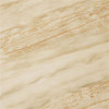 Керамогранит 610010000646 S.M. Elegant Honey Rett 60x60