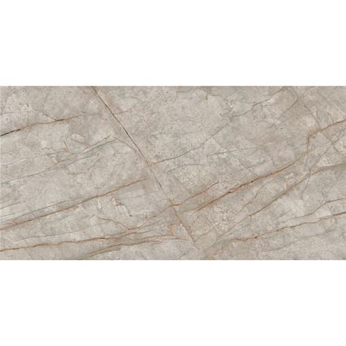 Керамогранит 610015000603 Empire Silver Root Lapp 80x160