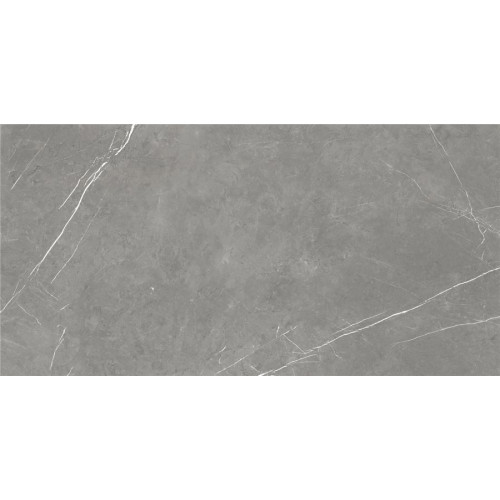 Керамогранит 610015000665 Forte dei Marmi Elegant Grey Lapp 80x160